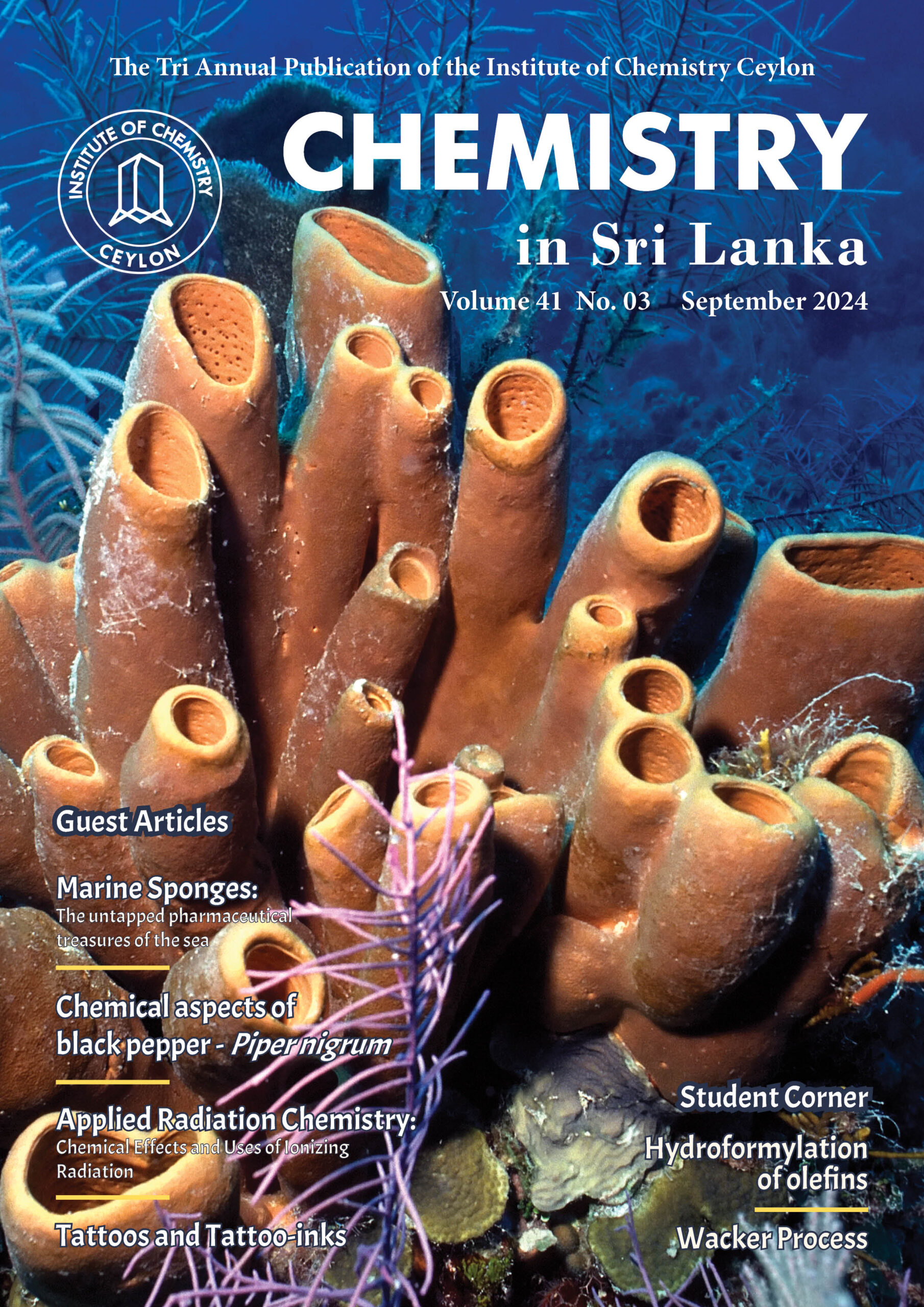 Vol. 41 No. 3 September 2024