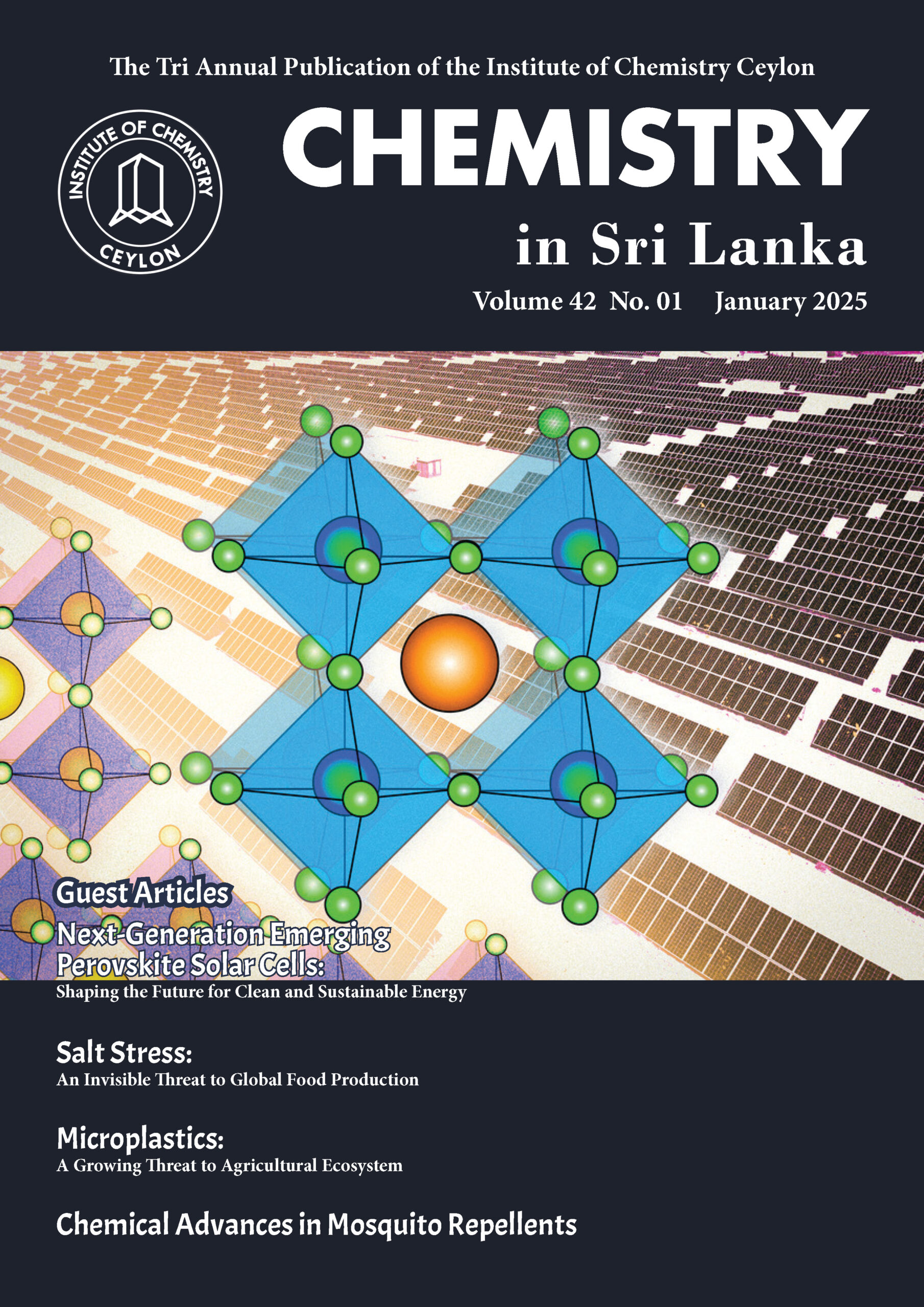 Vol. 42 No. 1 January 2025